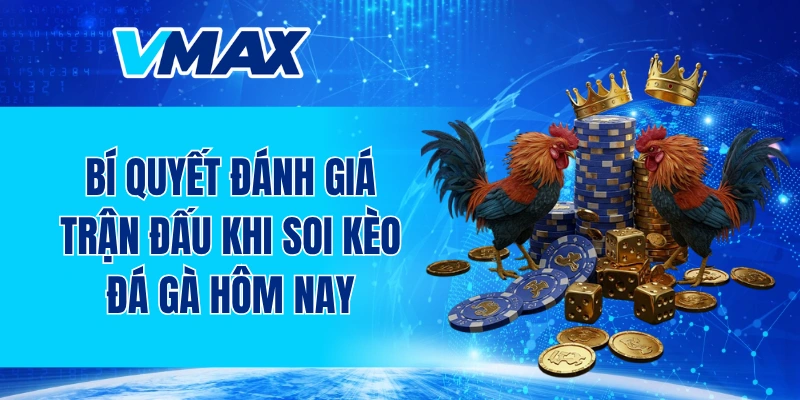 Bí quyết đánh giá trận đấu hiệu quả khi soi kèo đá gà hôm nay
