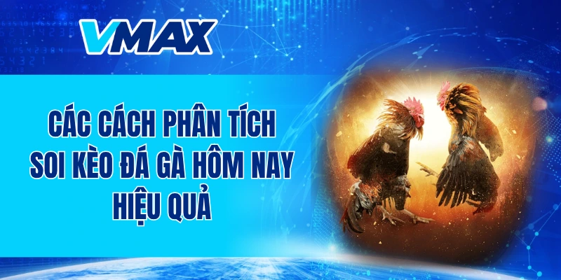 Các cách phân tích soi kèo đá gà hôm nay hiệu quả