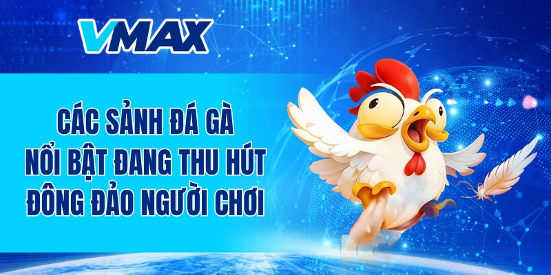 Các sảnh đá gà nổi bật đang thu hút đông đảo người chơi