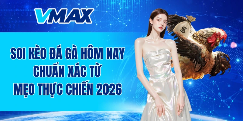 Soi kèo đá gà hôm nay