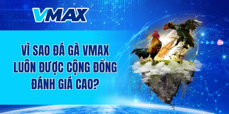 Vì sao đá gà VMAX luôn được cộng đồng đánh giá cao?